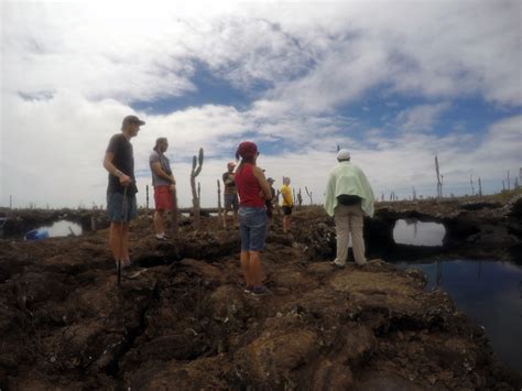 Los T Neles Cabo Rosa Galapagos Dreams Tours