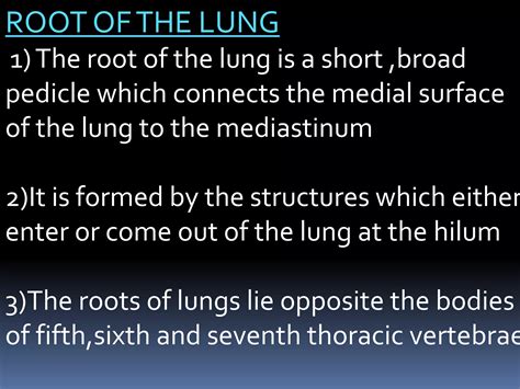 LUNG ANATOMY | PPT