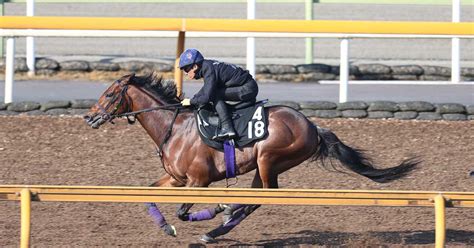 【京都新聞杯】1週前追い サトノグランツ3連勝へ3頭併せで最先着 サンスポzbat