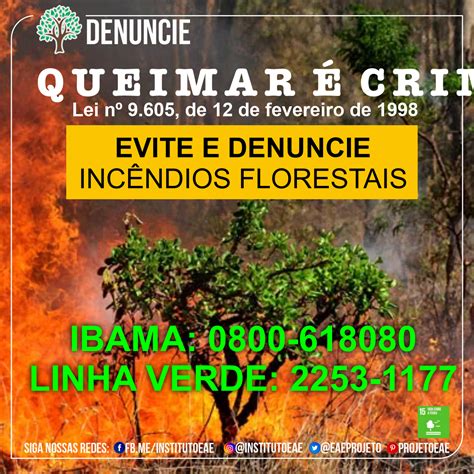 15 Proteger recuperar e promover o uso sustentável dos ecossistemas