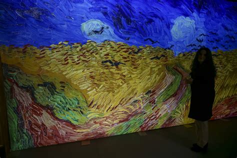 Fotos Van Gogh el sueño inmersivo La Verdad