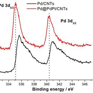 Xps Spectra For The Pd D Core Levels Of Pd Cnts And Pd Pdpt Cnts