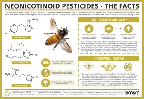 Neonicotinoid Pesticides & Bee Colonies