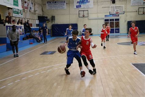 U B Vs Coulaines Jalt Le Mans Basket Sarthe