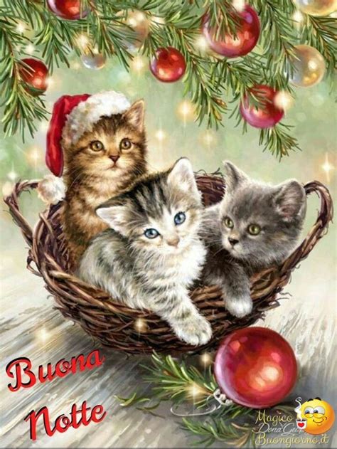 Three Kittens In A Basket Under A Christmas Tree