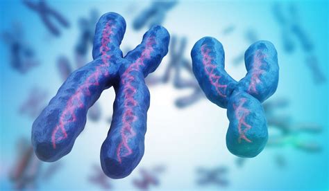 One In 500 Men Carry Extra X Or Y Chromosome And Face Higher Risk Of Several Conditions Say