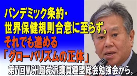 《続》第7回・超党派wch議員連盟総会（勉強会） 2024520 海と空、そして太陽