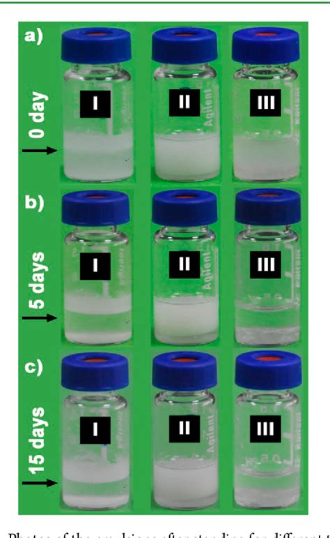 Figure 2 From Self Assembly Of Amphiphilic Janus Particles Into