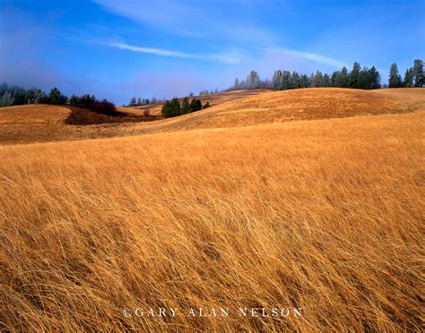 Rolling Hills And Grasses Lewis And Clark National Historic Trail