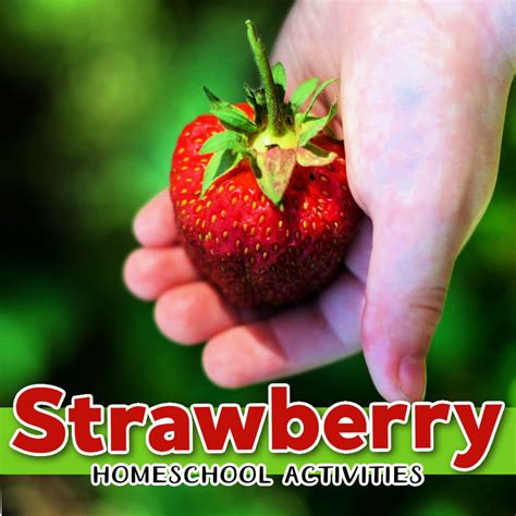 Strawberry Activities for Homeschoolers