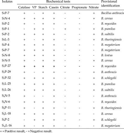 Major Biochemical Tests And Provisional Identification Of Gram Positive