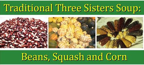 Corn Beans And Squash The Three Sisters Hubpages