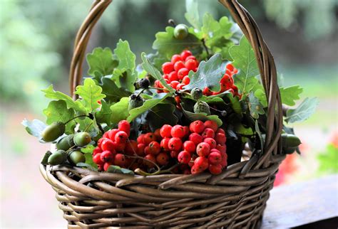 Assorted Fruits on Person's Hand · Free Stock Photo