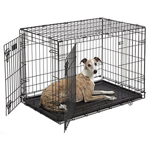 Dog Crate | MidWest iCrate 36 Inches Double Door Folding Metal Dog ...