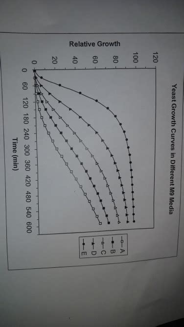 Solved 14 The Graph Above Shows The Growth Of Yeast That