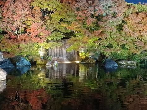 姫路城西御屋敷跡庭園 好古園の紅葉 勝くんの日々の綴り。