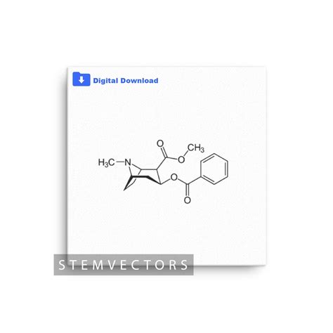 Cocaine Chemical Structure digital Download Black and White Vector Clip ...