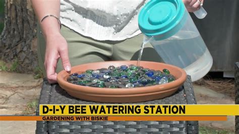 How To Make A Bee Watering Station Youtube