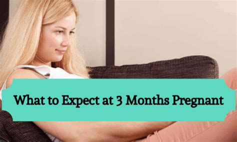 Pregnancy Articles Parents Mode