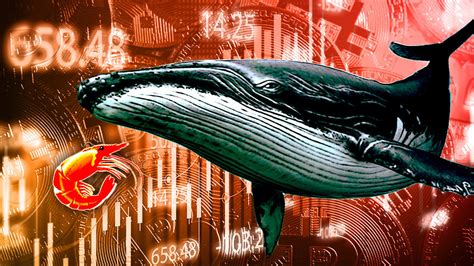 Research Shrimps Vs Whales — Small Holders Accumulate Bitcoin As