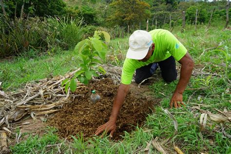 FAO El Salvador on Twitter Para la implementación de sistemas