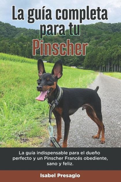 El Collar Perfecto Para Tu Pinscher Gu A De Compra Y Recomendaciones