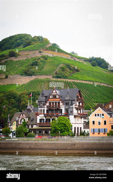 Assmannshausen Village Germany Stock Photo Alamy