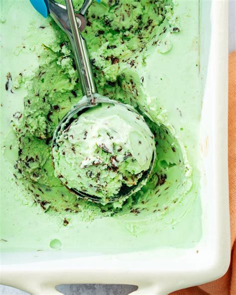 Mint Chocolate Chip Ice Cream A Couple Cooks