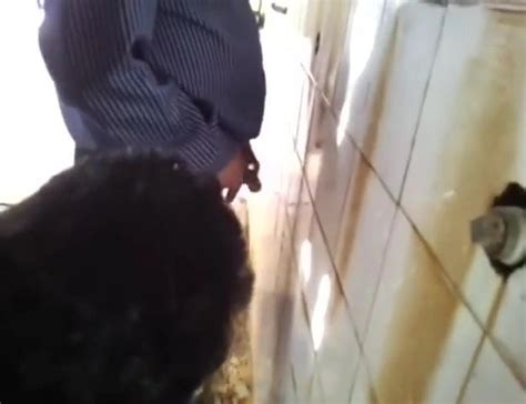 Banheiro Porn Videos Free Gay XXX Rated Sex Videos 2025 XHamster