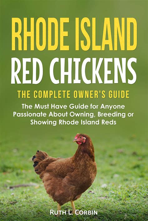 Rhode Island Red Chickens The Complete Owner S Guide The Must Have Guide For Anyone