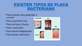 Placa Bacteriana Dental24 PPT