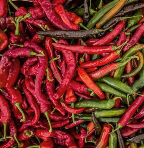 Could Hot Chili Peppers Reduce Mortality Risk