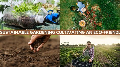 Sustainable Gardening Cultivating An Eco Friendly Garden For A