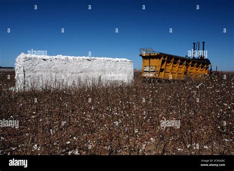 Cotton Bale Hi Res Stock Photography And Images Alamy