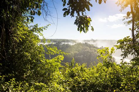 Enero En Brasil Clima Qu Empacar Y Qu Ver Exoviajes