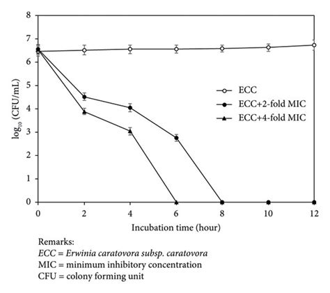 Time Kill Curve Of Ethanol Extracts Of P Betle Against ECC Remarks