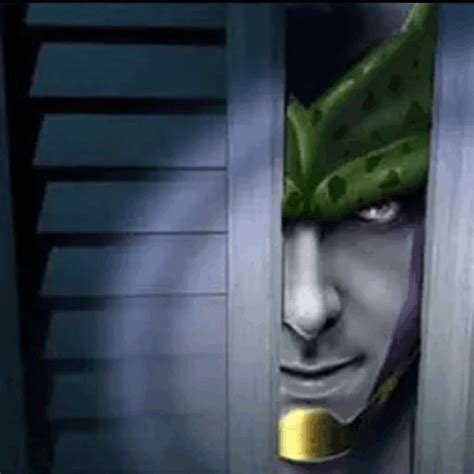 Perfect Cell Closet Door Meme Perfect Cell Closet Door Fnaf