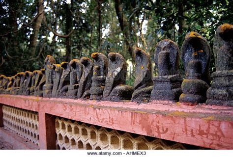 Oldest snake temple - Mannarasala temple, Kerala - Navrang India