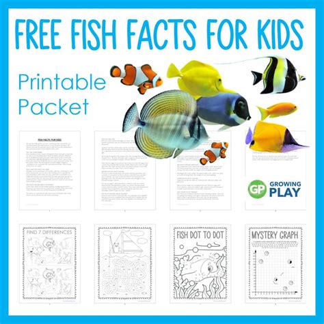 fish facts  kids growing play