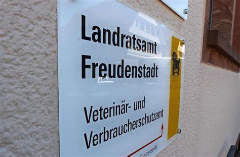 Tierschutzverein Freudenstadt Das Sagt Der Deutsche Tierschutzbund Zu