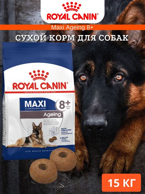 Royal Canin Maxi Ageing