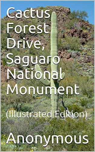 Cactus Forest Drive Saguaro National Monument By Anonymous Goodreads