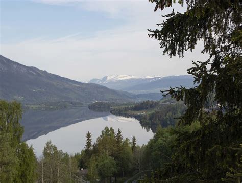 Ti Fakta Om Skogen I Norge Norges Skogeierforbund