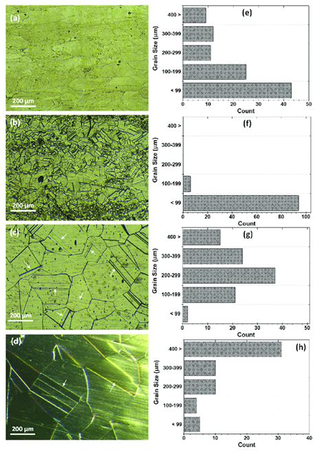 A D Optical Micrographs And E H Grain Size Distribution For