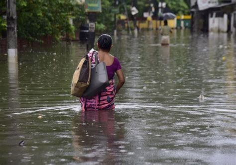 Inundații catastrofale în India și Bangladesh Zeci de oameni uciși de