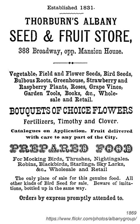 1869 Thorburn S Fruit Seed Store AlbanyGroup Archive Flickr