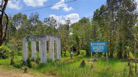 Hutan Kota Di Barito Kuala Luas Dan Lokasinya Diputuskan Bupati