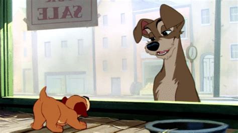 Lady and the Tramp (1955) by Clyde Geronimi, Wilfred Jackson