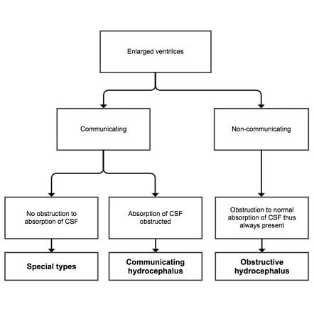 Hydrocephalus Radiology Reference Article Radiopaedia Org