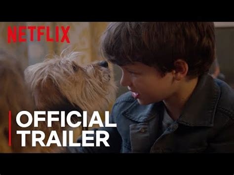 Benji (2018) Pictures, Trailer, Reviews, News, DVD and Soundtrack